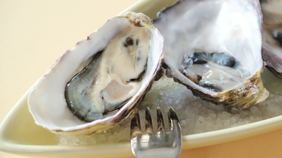 Seafood Celebration at Conshohocken’s Gypsy Saloon & Southern Cross Kitchen