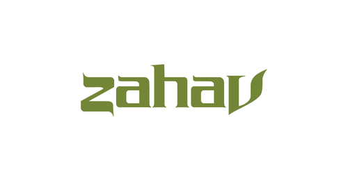 Zahav Review: Lamb Shack