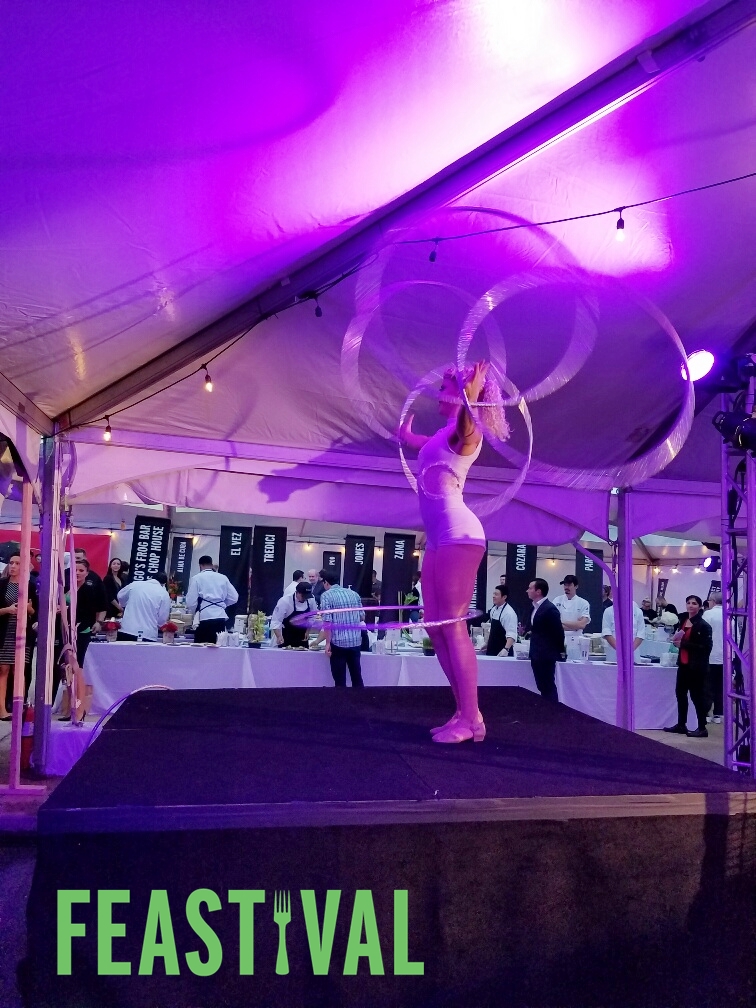 Quick Highlights from Audi FEASTIVAL 2016