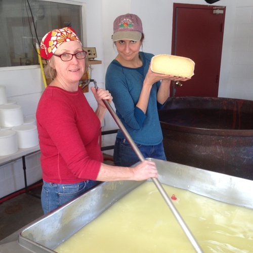 Collective Creamery: Cheese-Only CSA from Birchrun Hills and Valley Milkhouse Creamery