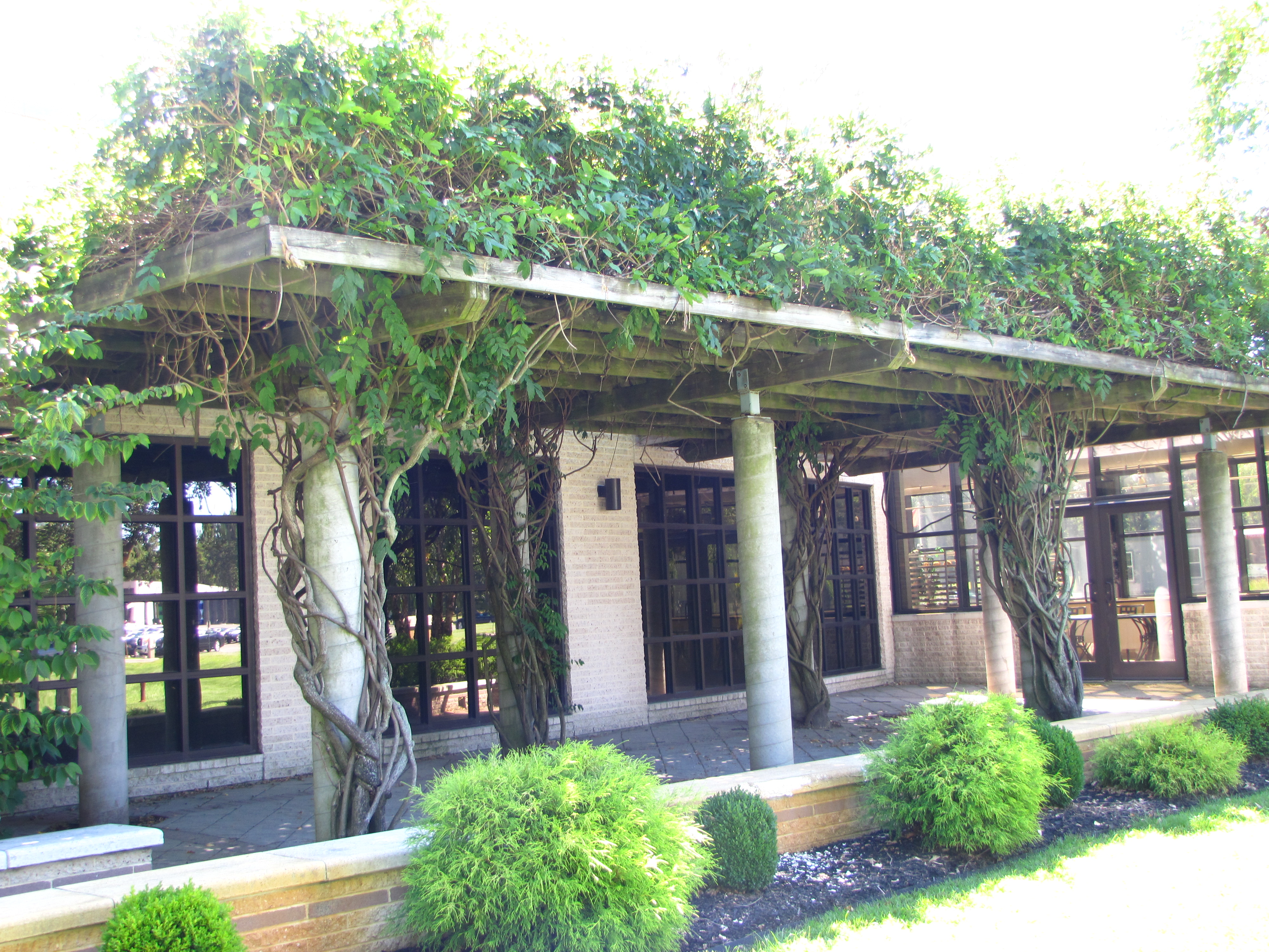 Careme’s Restaurant Open for Lunch Featuring Farm-to-Table Cuisine