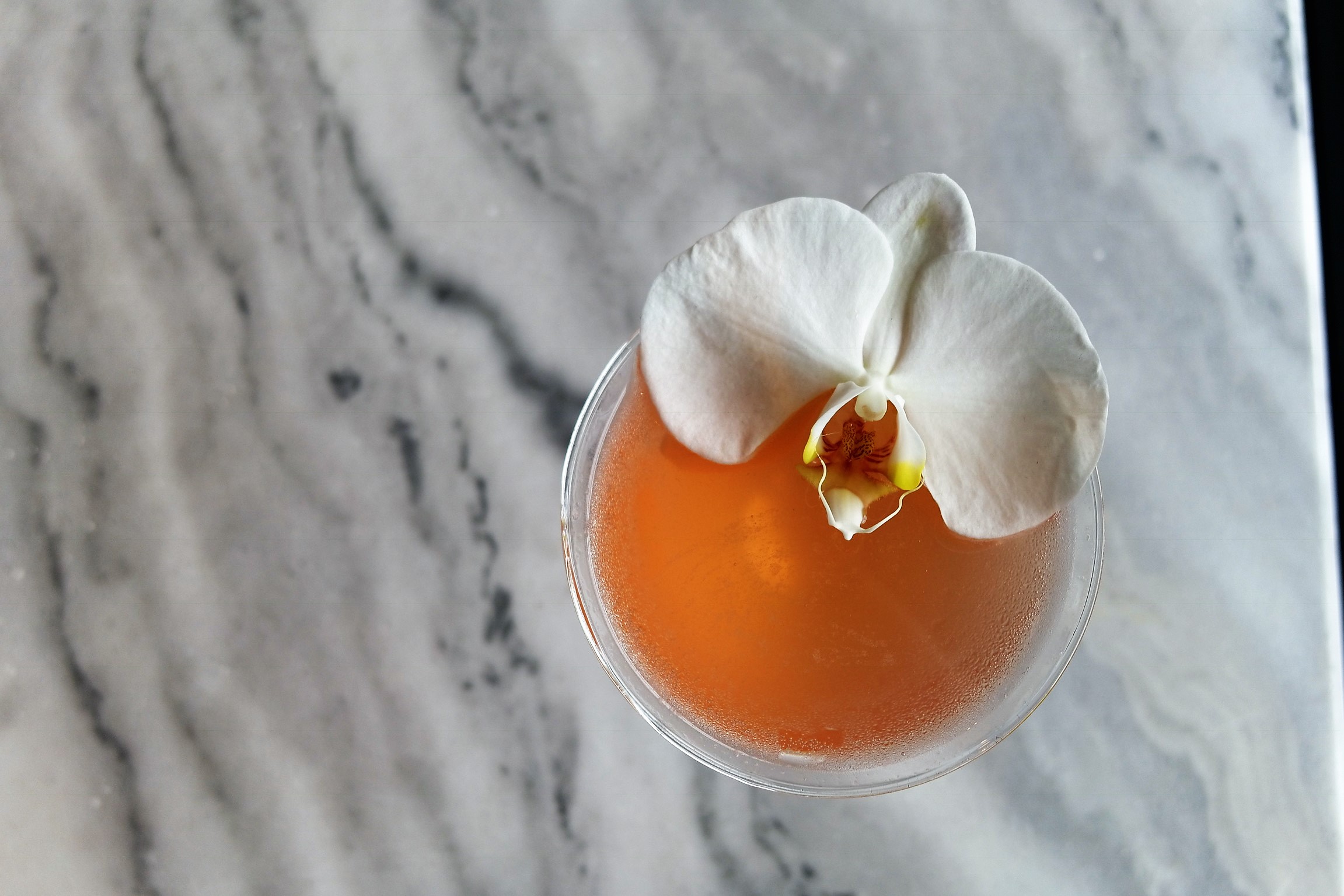 Stratus Lounge Remixes Rose For Summer