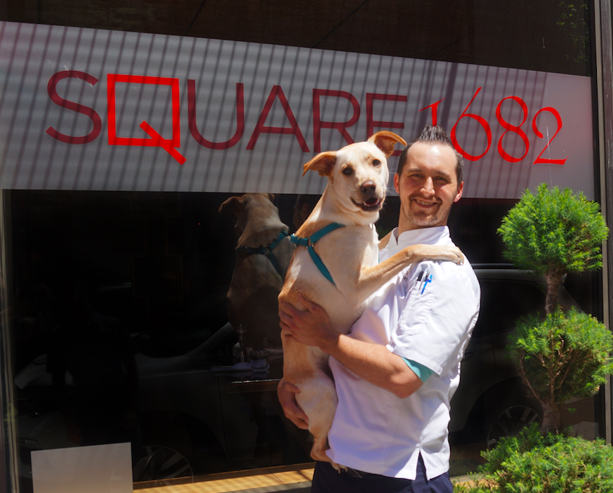 Bring Your Own Dog Brunch Returns to Square 1682