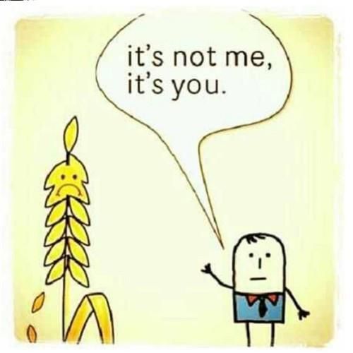 Greater Philly Gluten Free Expo Returns Saturday May 20 in Oaks, PA