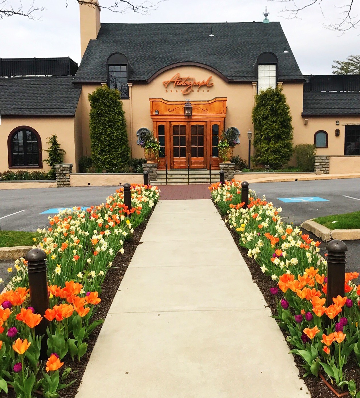 Autograph Brasserie in Wayne Launches Girls Night Out Events