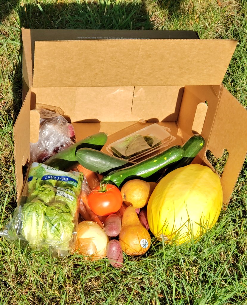 First Box of Imperfect Produce