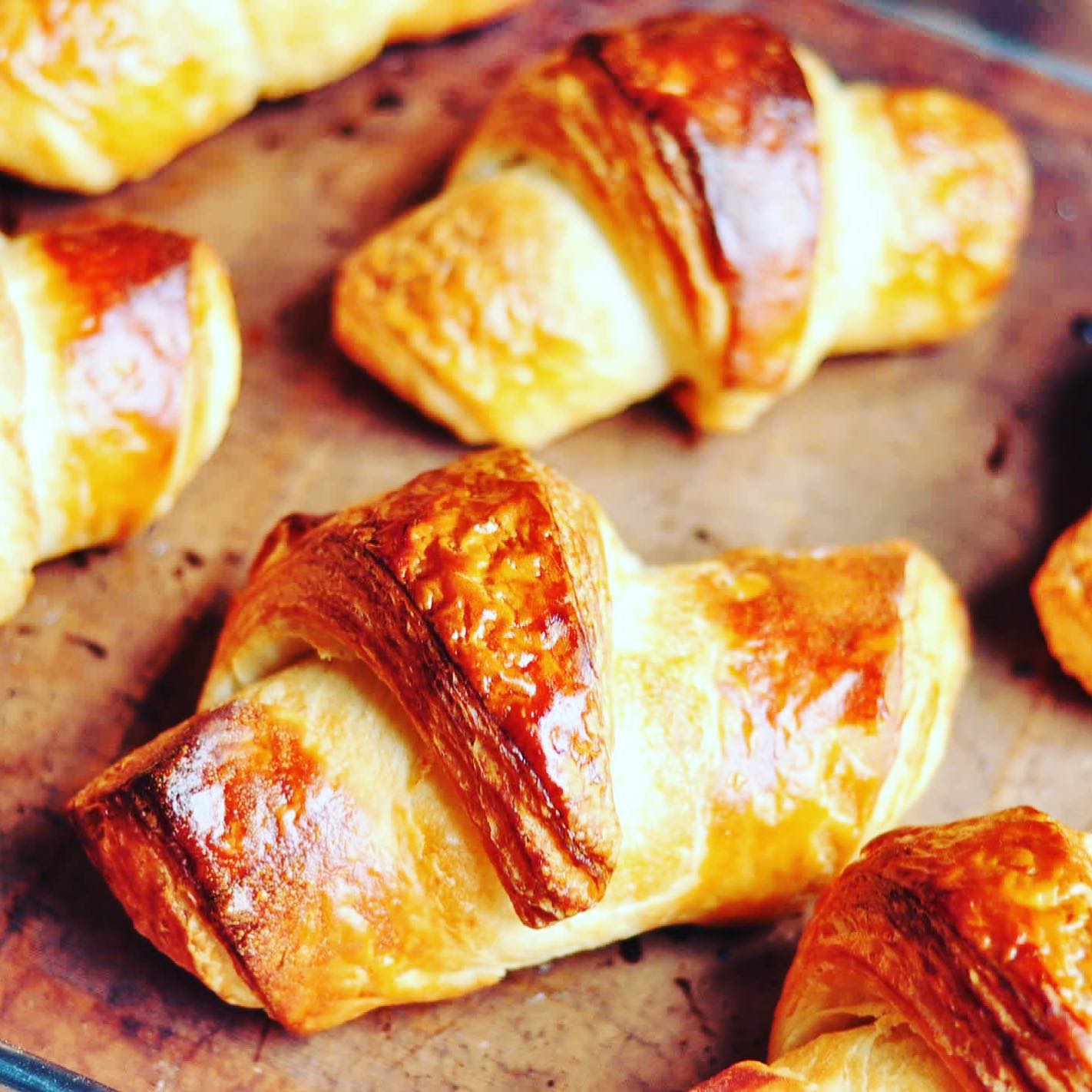 Having a Gluten-Free Thanksgiving? Order GF Croissants from Flakely