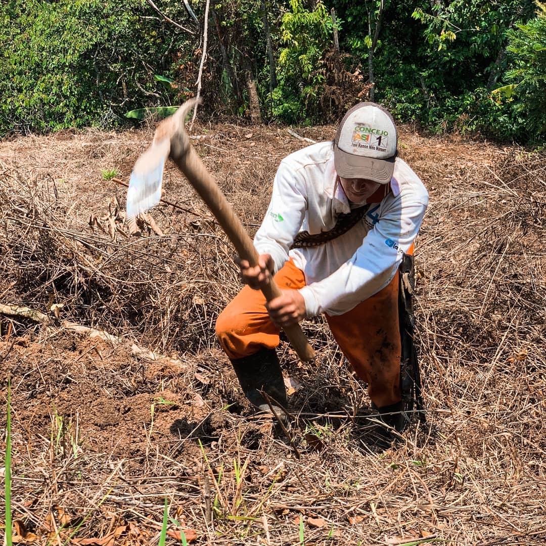 Philly Family Stranded in Colombia Due to Covid-19 Now Helping Indigenous Tribes Farm