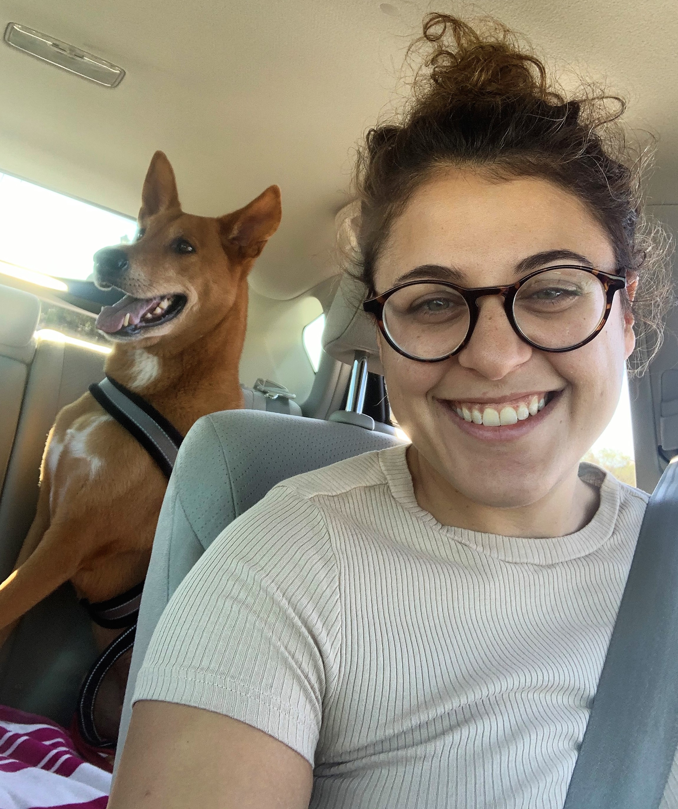 Bada Bing Bagels: North Jersey Bagel Delivery in Philadelphia