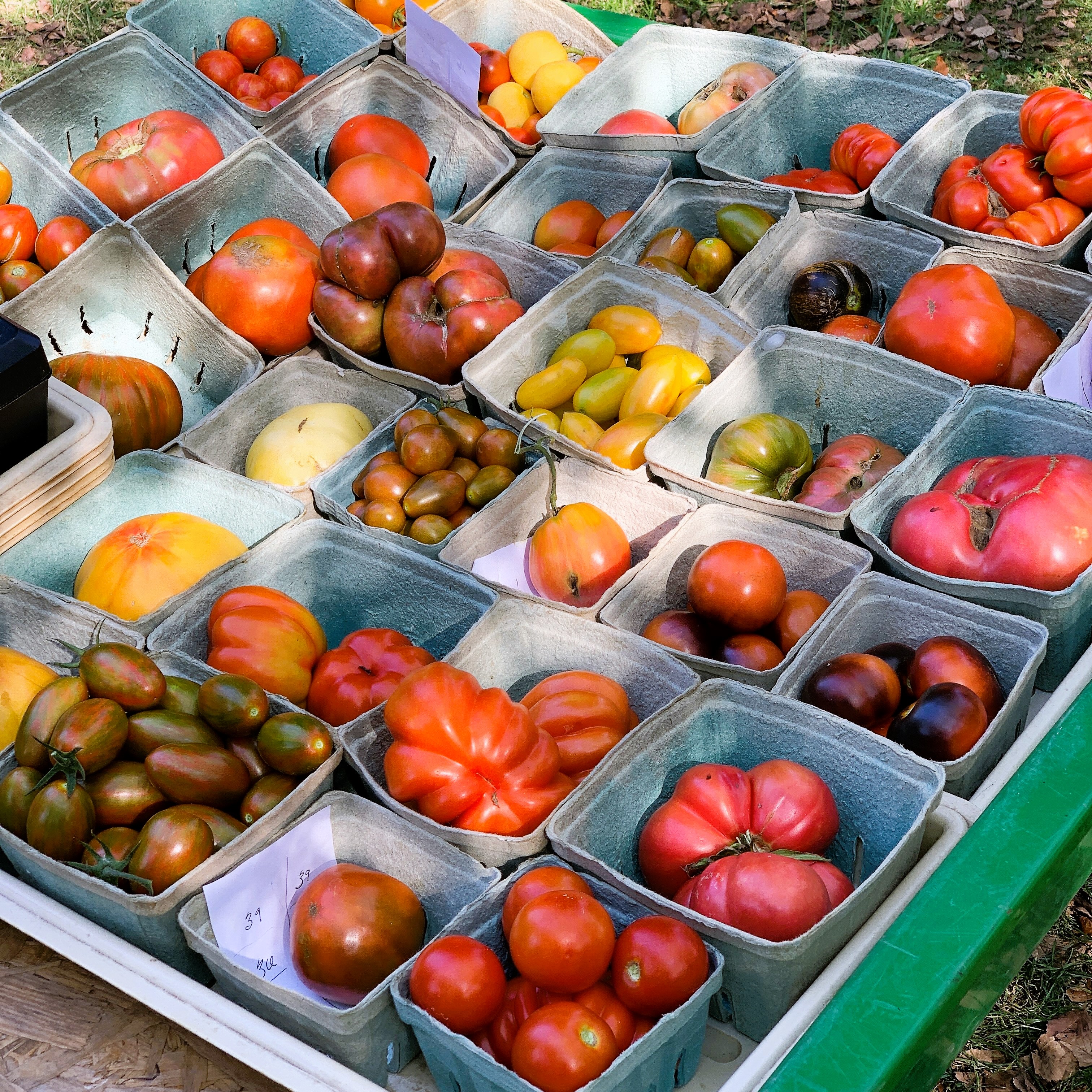 A Tale of Tomatoes and Tinned Fish in Montgomery County