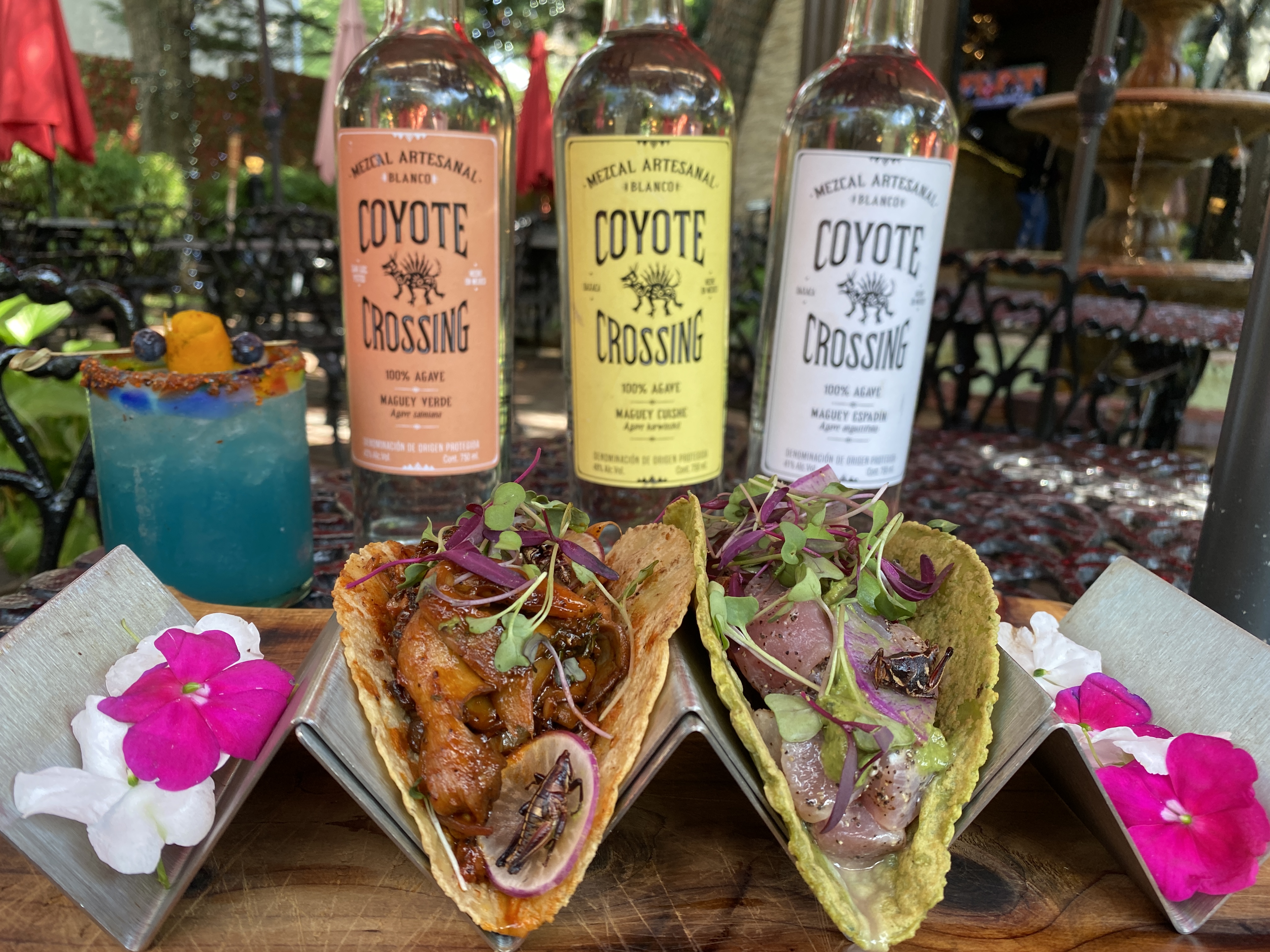 Conshohocken Favorite Coyote Crossing Celebrating 25+ Years