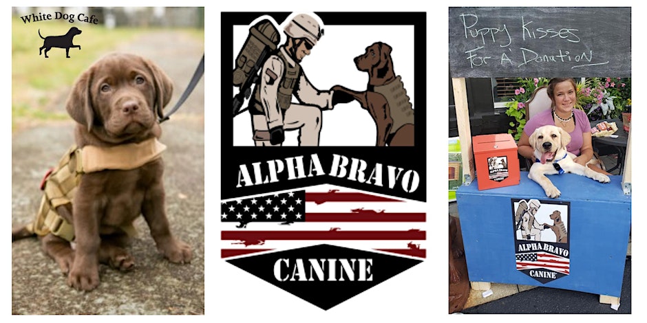 Sixth Annual Dining Out for the Dogs at White Dog Cafe Suburban Locations