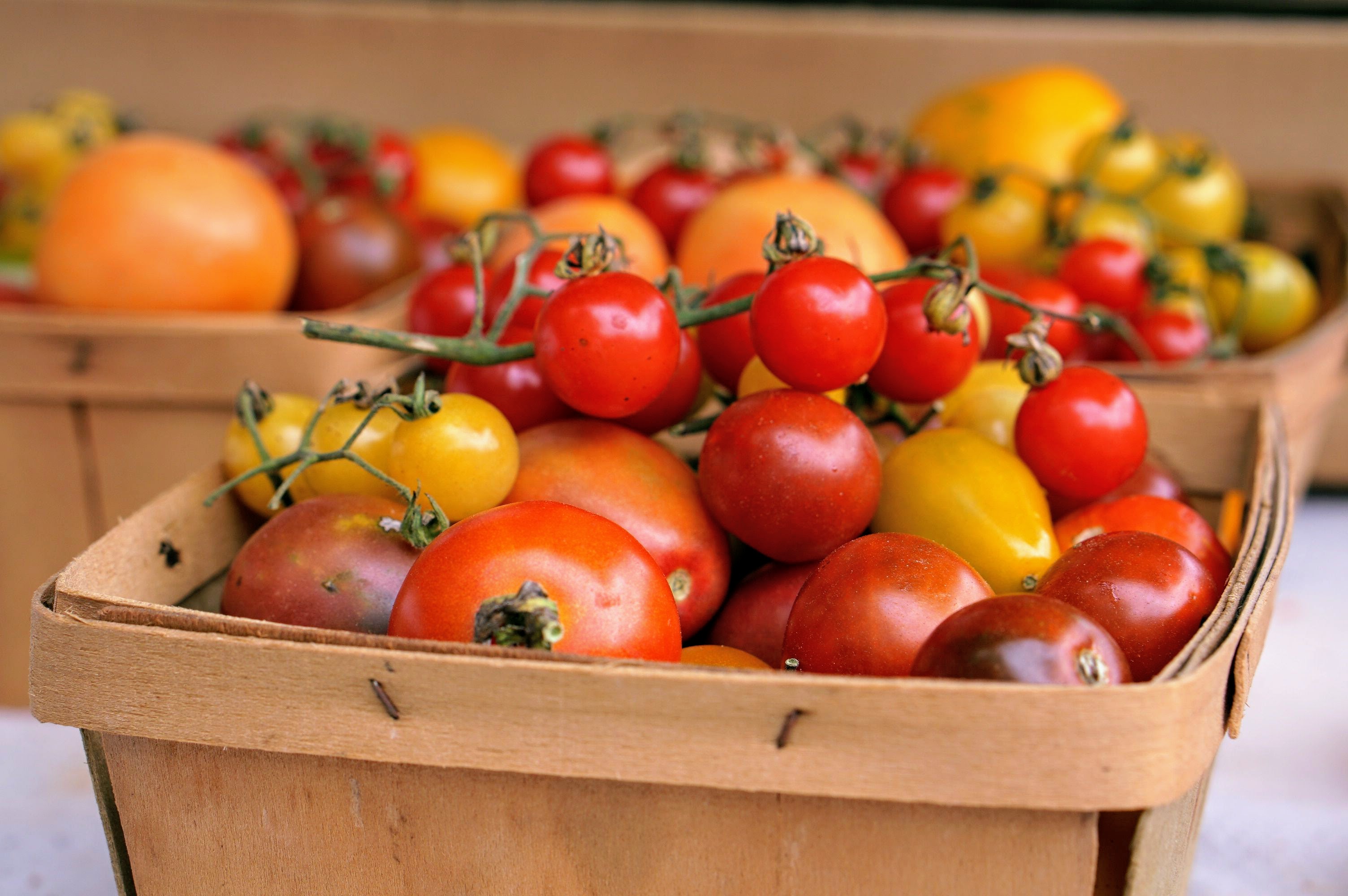 Tomatopalooza Kicks Off National Farmers’ Market Week at Berwyn Farmers’ Market