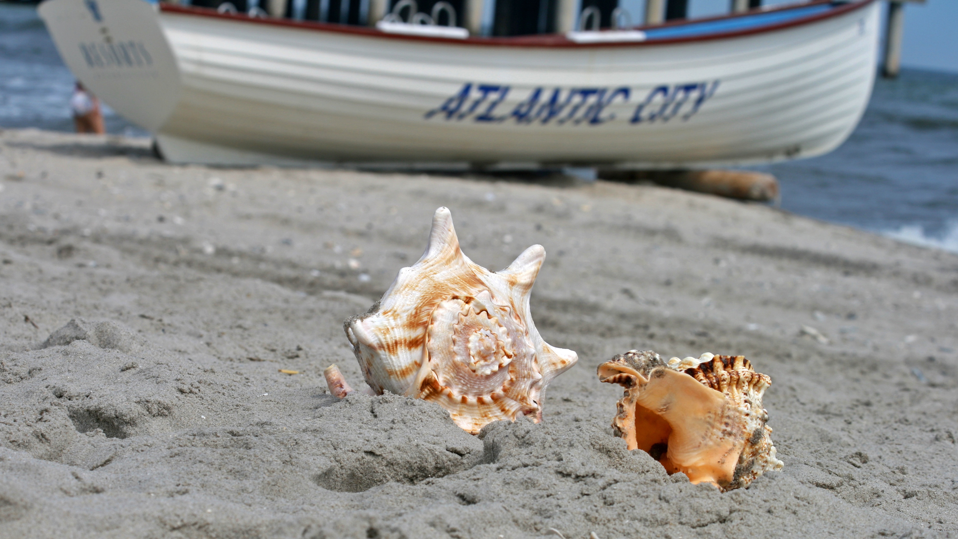 Where to Eat in Atlantic City This Beach Season